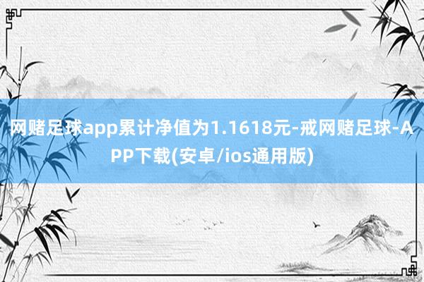 网赌足球app累计净值为1.1618元-戒网赌足球-APP下载(安卓/ios通用版)