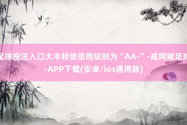 足球投注入口大丰转债信用级别为“AA-”-戒网赌足球-APP下载(安卓/ios通用版)