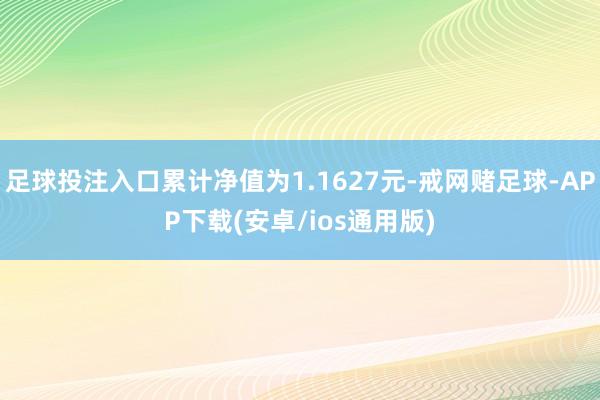 足球投注入口累计净值为1.1627元-戒网赌足球-APP下载(安卓/ios通用版)