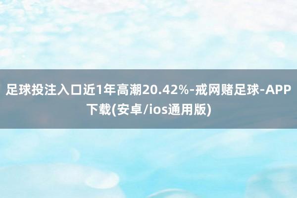 足球投注入口近1年高潮20.42%-戒网赌足球-APP下载(安卓/ios通用版)