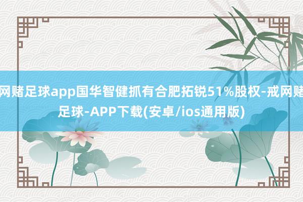 网赌足球app国华智健抓有合肥拓锐51%股权-戒网赌足球-APP下载(安卓/ios通用版)