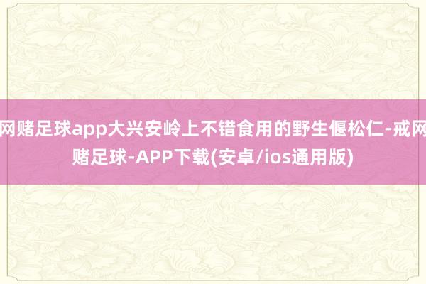 网赌足球app大兴安岭上不错食用的野生偃松仁-戒网赌足球-APP下载(安卓/ios通用版)