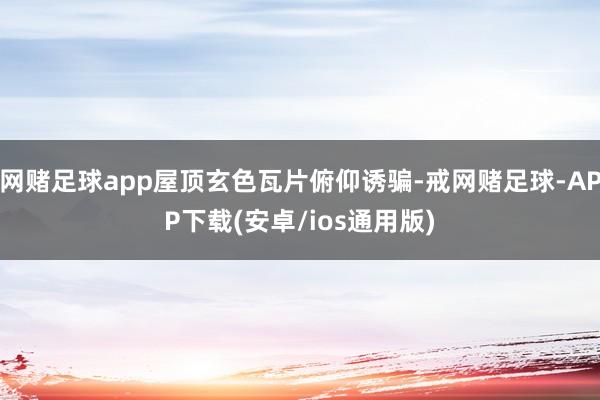 网赌足球app屋顶玄色瓦片俯仰诱骗-戒网赌足球-APP下载(安卓/ios通用版)