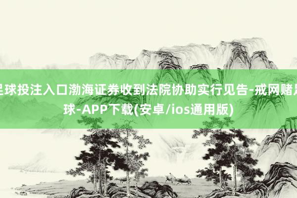 足球投注入口渤海证券收到法院协助实行见告-戒网赌足球-APP下载(安卓/ios通用版)