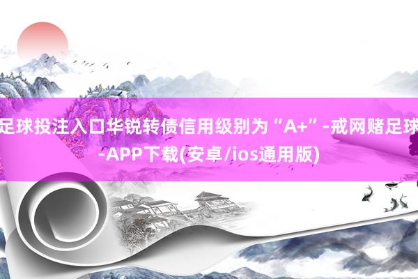 足球投注入口华锐转债信用级别为“A+”-戒网赌足球-APP下载(安卓/ios通用版)